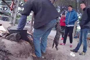 佛山罗村爆料最新消息今天,最新爆料揭示惊人真相！”